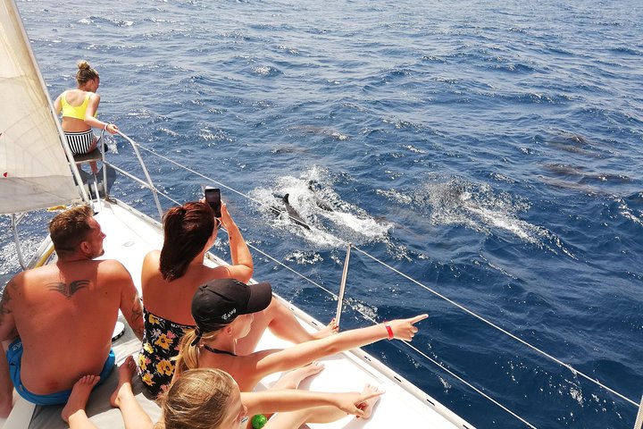 Sailing yacht half day- with Cape Verde Sailing