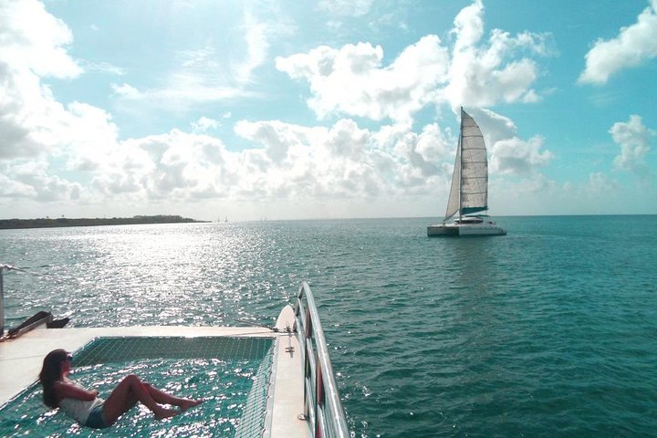 Saona Island Day Trip From Punta Cana with Lunch and Open Bar