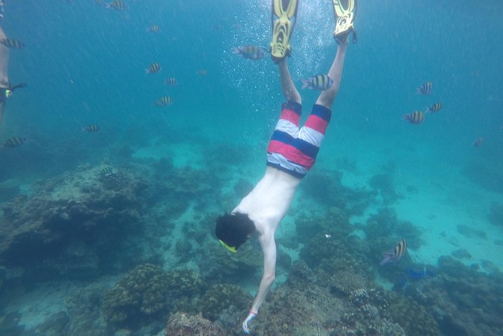 Phi Phi Islands Adventure Day Trip w/ Seaview Lunch by V. Marine