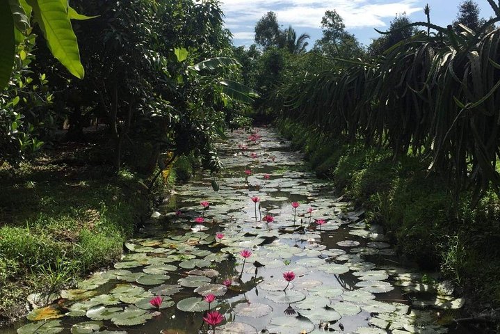Mekong Delta and Cai Rang Floating Market 5-Hours Tour