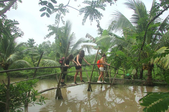Mekong Delta and Cai Rang Floating Market 5-Hours Tour