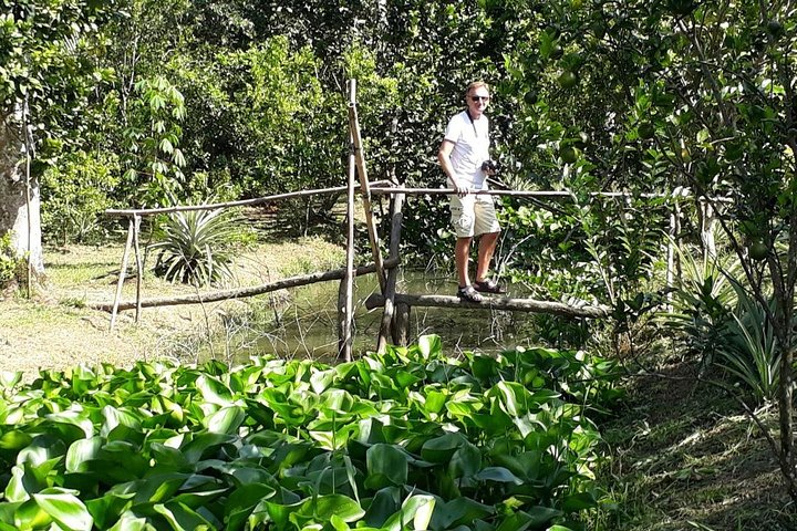 Mekong Delta and Cai Rang Floating Market 5-Hours Tour