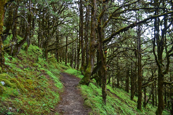Bhutan Walking Holidays - Beyond the Clouds