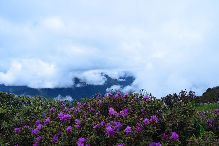 Bhutan Walking Holidays - Beyond the Clouds