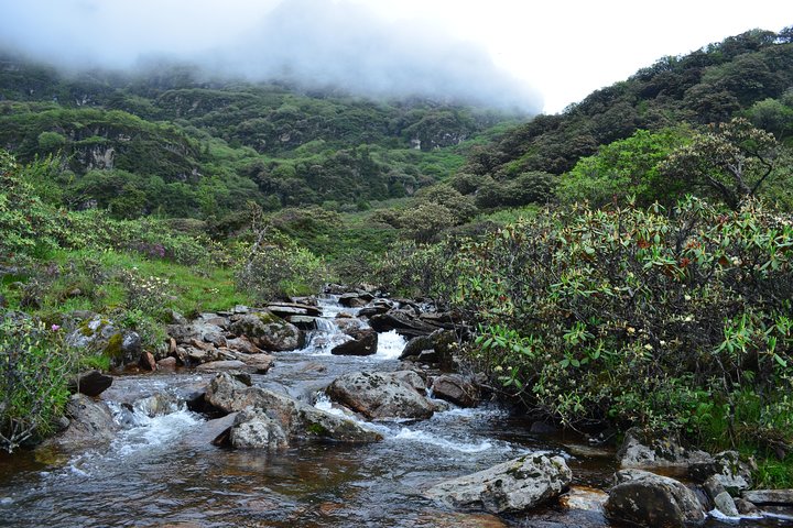 Bhutan Walking Holidays - Beyond the Clouds