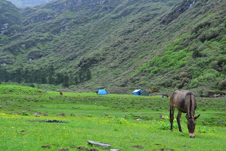 Bhutan Walking Holidays - Beyond the Clouds