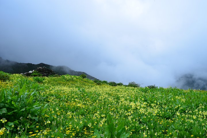 Bhutan Walking Holidays - Beyond the Clouds