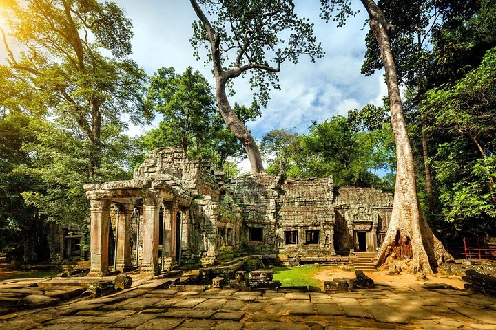 Angkor Wat Private Day Tour from Siem Reap