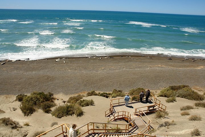 Exclusive Peninsula Valdes Nature & Wildlife for Cruise Guests