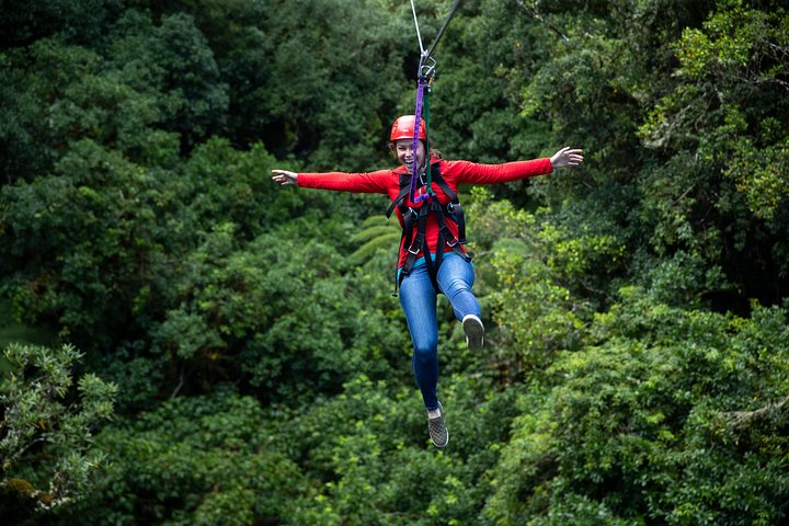 Rotorua Canopy Tours: 2.5Hour Native Forest Zipline Adventure