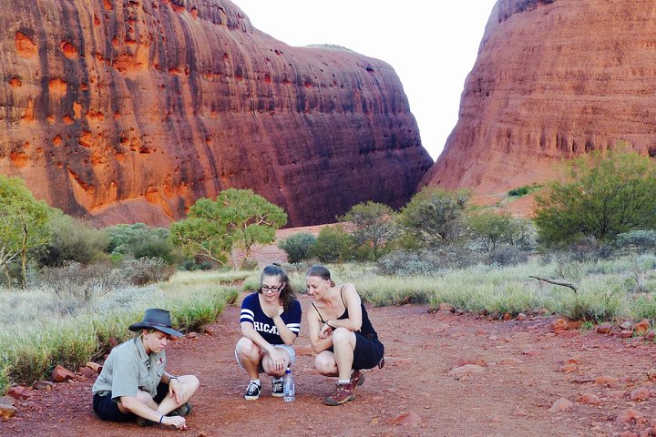 Afternoon Kata Tjuta Small Group Tour