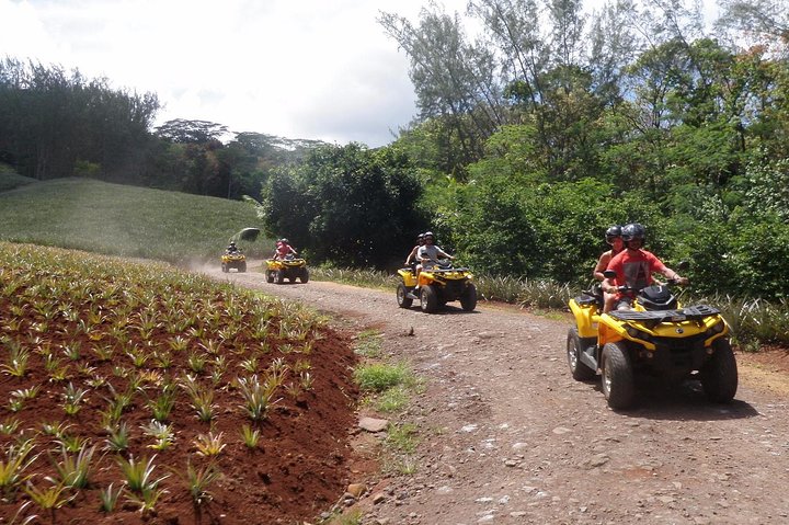 Grand Tour Quad Excursion in Moorea (Single or Two-Seater)