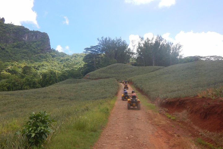Grand Tour Quad Excursion in Moorea (Single or Two-Seater)