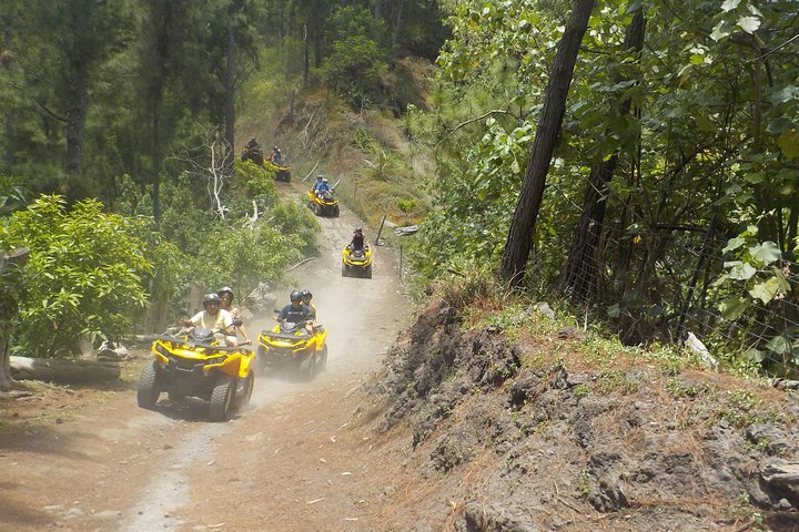 Grand Tour Quad Excursion in Moorea (Single or Two-Seater)