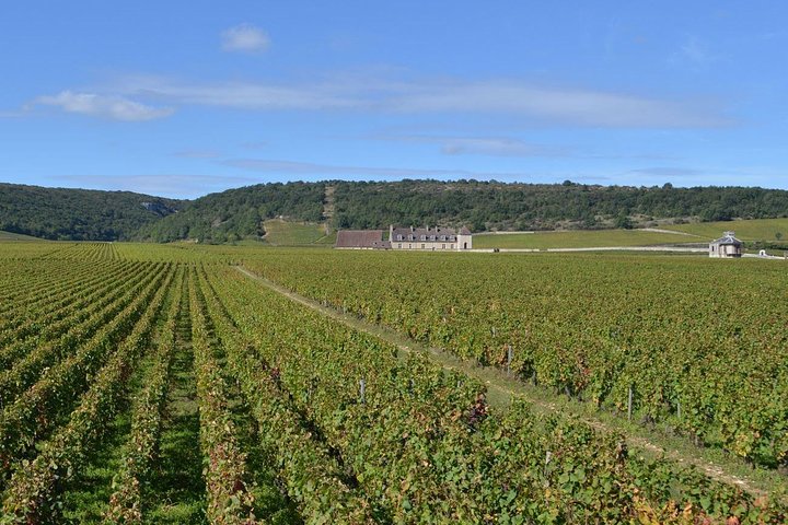 Small-Group Full-Day Tour of Côte de Nuits, Côte de Beaune Vineyards and Beaune Historical District