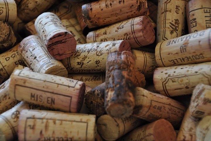 Full Day Private Tour 10 Premiers & Grands Crus, The Best of Burgundy
