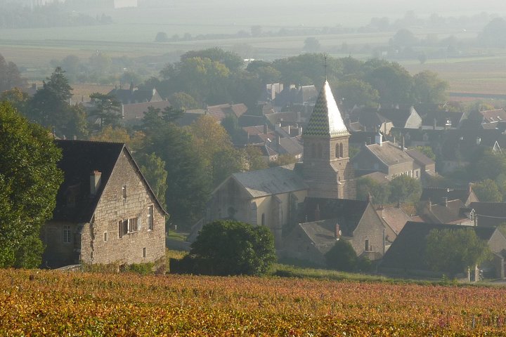 Full Day Private Tour 10 Premiers & Grands Crus, The Best of Burgundy