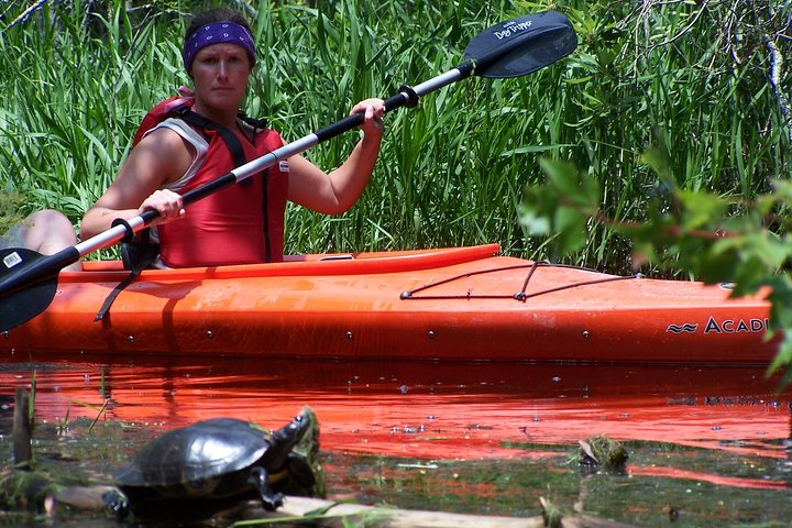 Alligator River Kayak Adventure