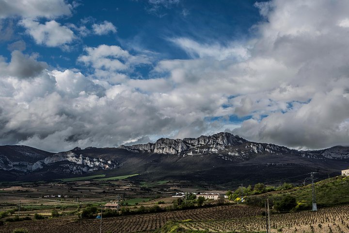 La Rioja wines and Laguardia tour from Logroño