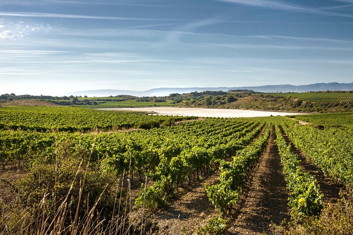 La Rioja wines and Laguardia tour from Logroño