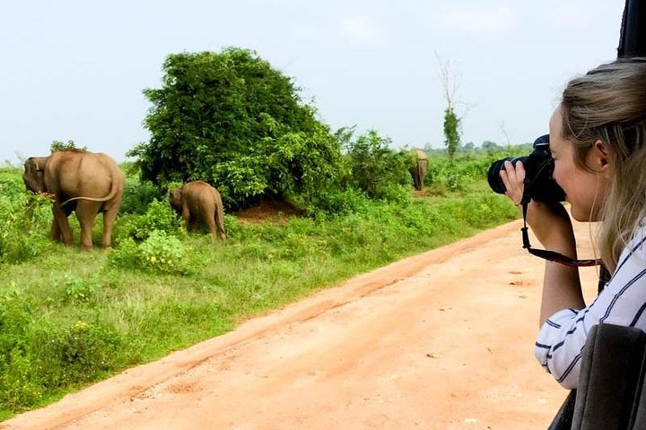 2 Day Tour of Udawalawe & Ella with Up Country Scenic Train Ride - All Inclusive