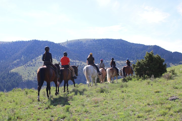 Blue Flower Trail Ride
