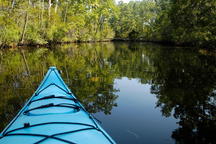 Kitty Hawk Woods Kayak Tour