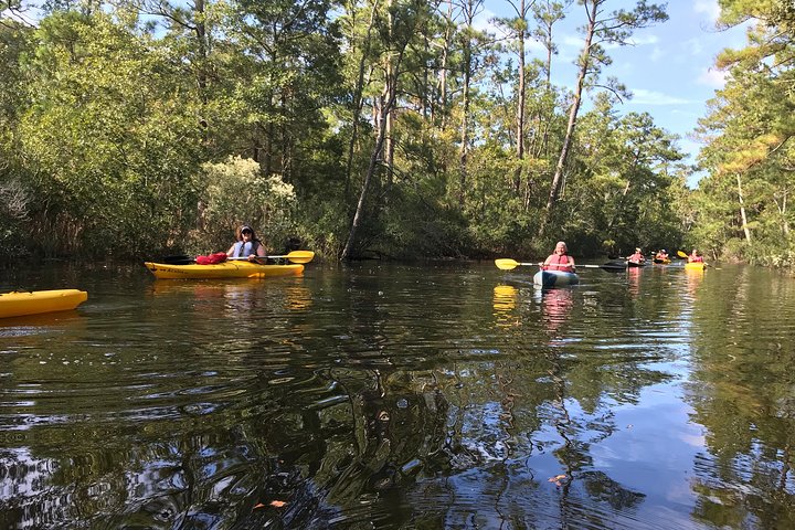 Kitty Hawk Woods Kayak Tour