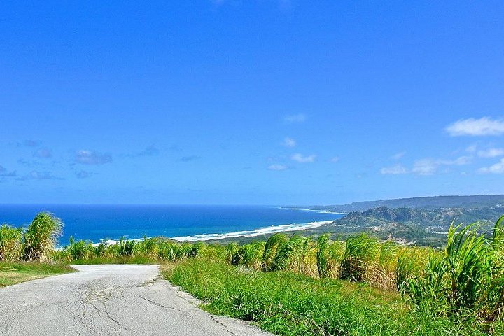 Barbados Full-day Coast to Coast Tour