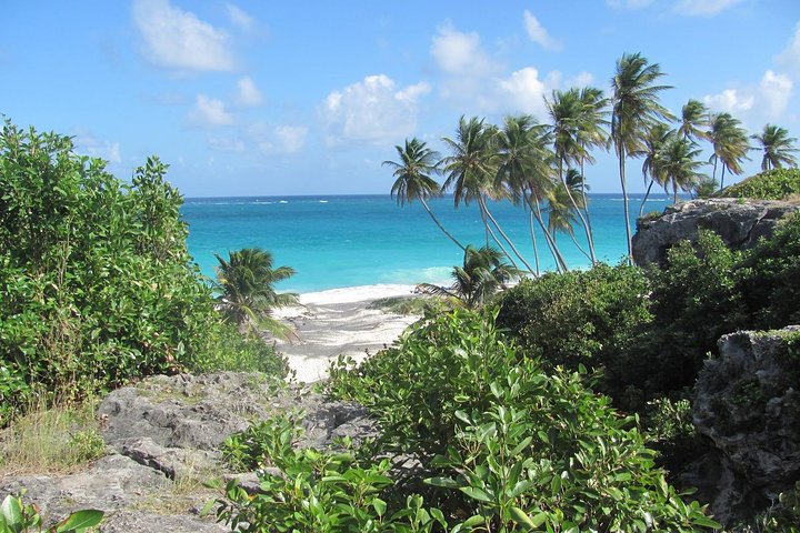 Barbados Full-day Coast to Coast Tour