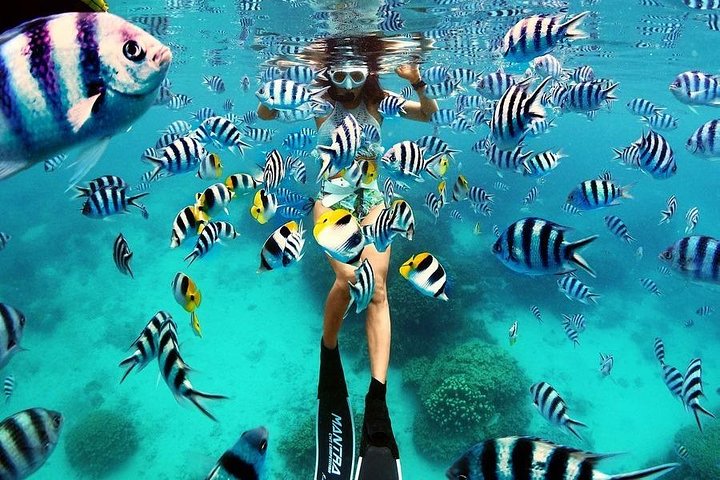 Bunaken Island three-point snorkeling includes lunch and shuttle