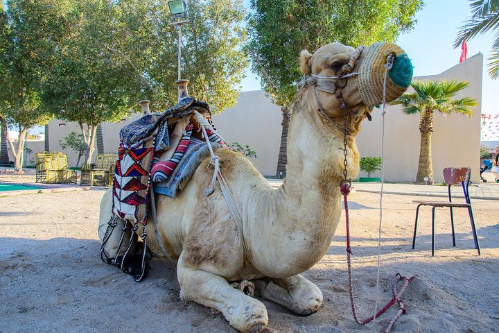 Kuwait City Filaka Island Full Day Tour
