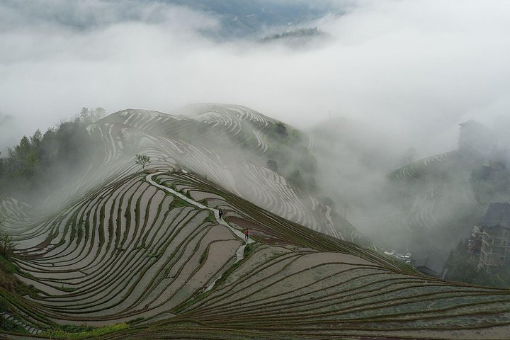 Yangshuo Xianggong Hill Sunrise and Longji Rice Terraces Private Day Tour