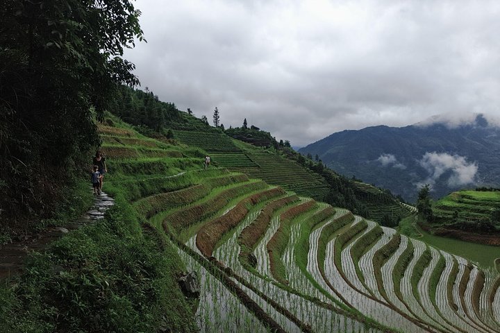 Yangshuo Xianggong Hill Sunrise and Longji Rice Terraces Private Day Tour