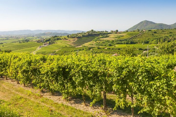 2 Guests Private Prosecco Road Tour All Inclusive from Conegliano