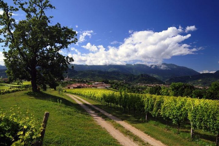 2 Guests Private Prosecco Road Tour All Inclusive from Conegliano