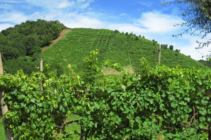 2 Guests Private Prosecco Road Tour All Inclusive from Conegliano