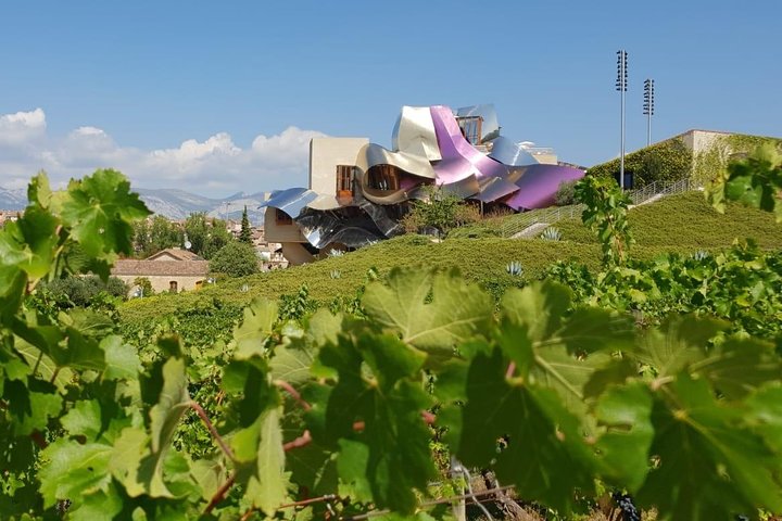 La Rioja wines and Laguardia tour from Logroño