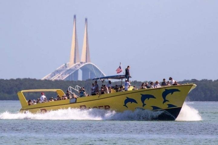 Dolphin Racer Adventure Cruise in St. Pete