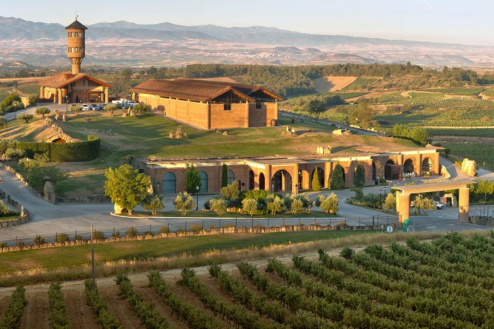 Wine tour: winery and traditional lunch from La Rioja