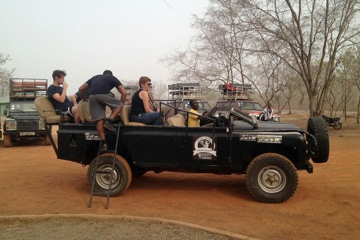 Day Tour To Mole