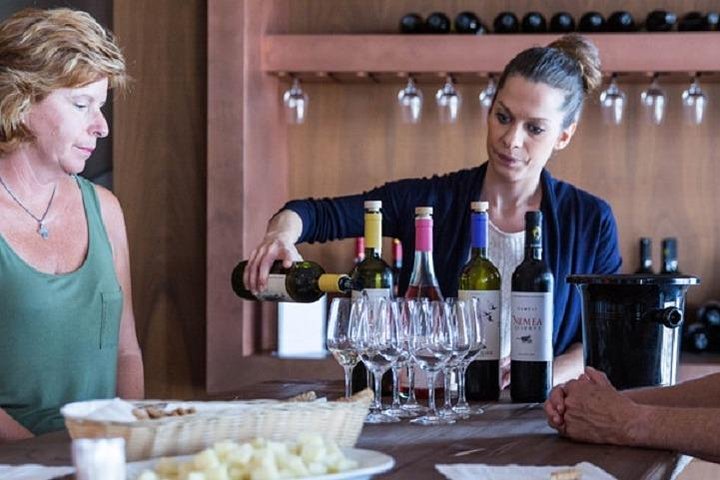 Wine Tour in Nemea from Nafplio