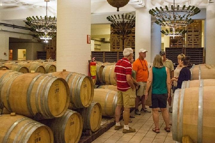 Wine Tour in Nemea from Nafplio