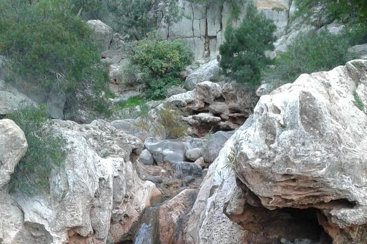 Paradise Valley Excursion with Botanical Garden & Berber Breakfast