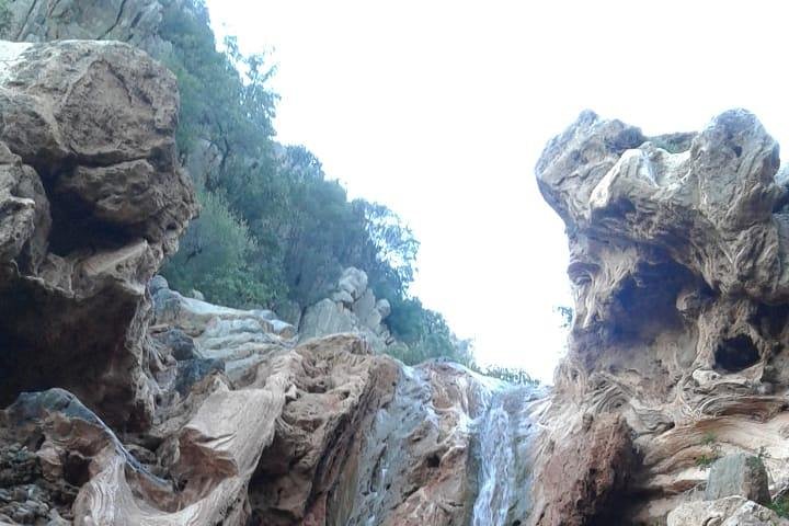 Paradise Valley Excursion with Botanical Garden & Berber Breakfast