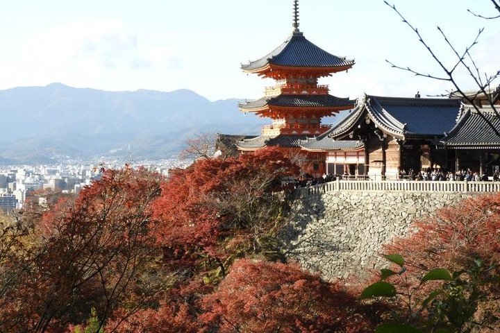 Kyoto Full Day (8 hours) Ultimate Sightseeing Private Tour