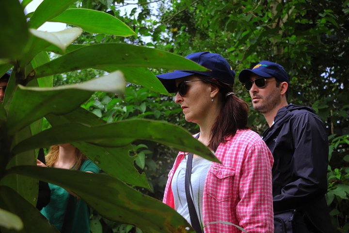 Yasuni National Park 3 days 2 nights in the Amazon of Ecuador,comfortable rooms