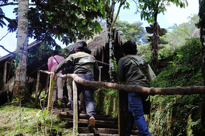 Yasuni National Park 3 days 2 nights in the Amazon of Ecuador,comfortable rooms