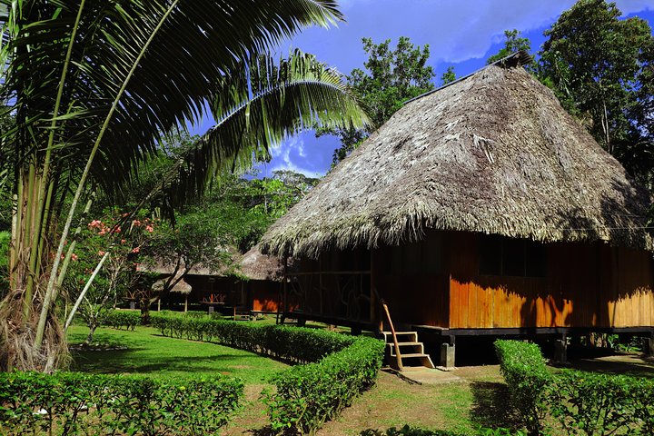 Yasuni National Park 3 days 2 nights in the Amazon of Ecuador,comfortable rooms
