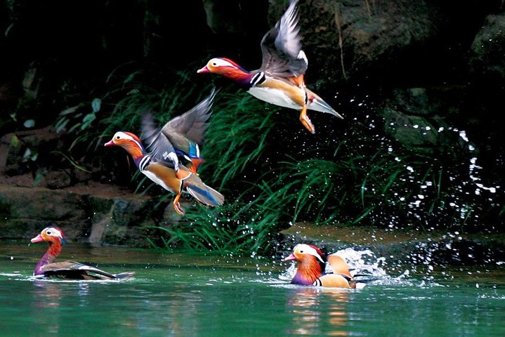 4-Day Zhangjiajie Tour to All Highlight Attractions with VIP Lift